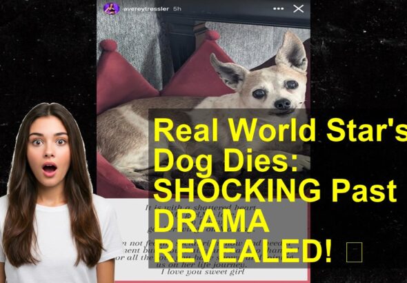 thumbnail_b876afda-db4a-4975-8e4c-29d187a3067c