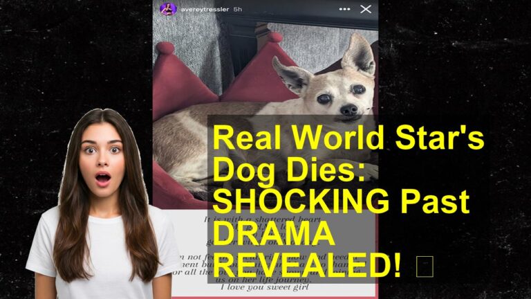 thumbnail_b876afda-db4a-4975-8e4c-29d187a3067c