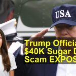 thumbnail_83f69e46-cdd6-401b-b044-3bb7cefc17db